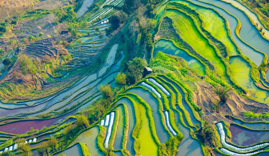 走进宝山区TVC拍摄：解锁本地化场景与创意镜头的完美融合